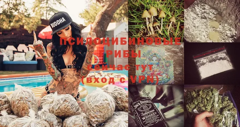 Галлюциногенные грибы MAGIC MUSHROOMS  OMG ссылка  Соликамск 